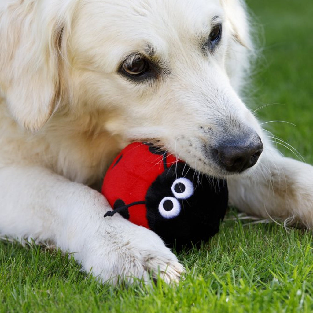 Petface Buddies Lindy Ladybird Plush Dog Toy