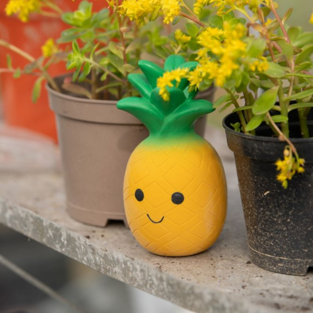 Petface Greenfingers Latex Perry Pineapple Dog Toy