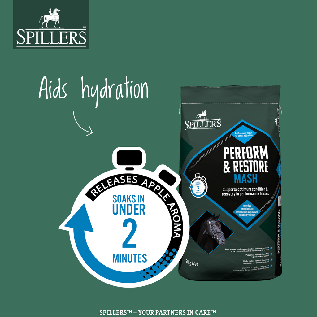 Spillers Perform and Restore Mash - 20kg