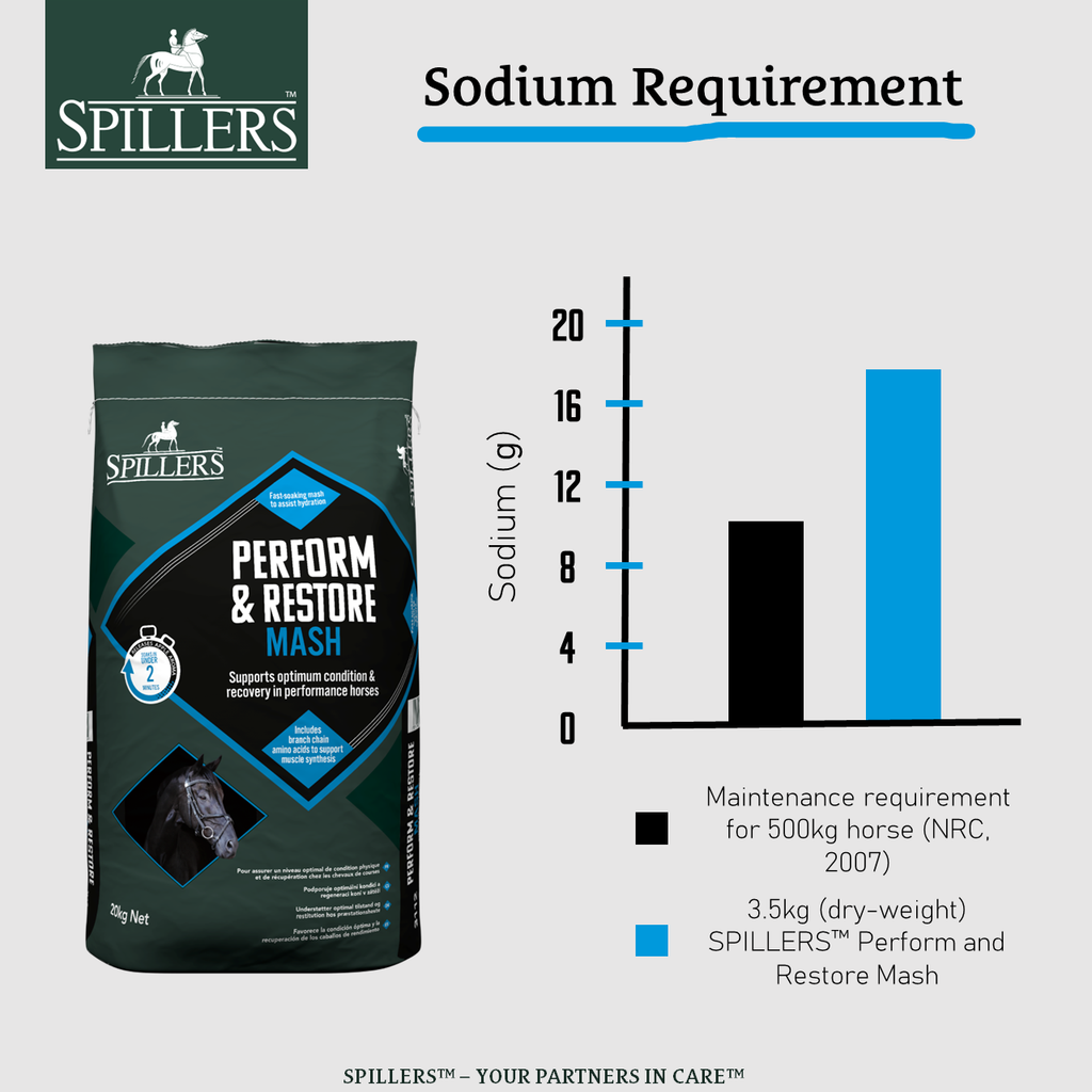 Spillers Perform and Restore Mash - 20kg