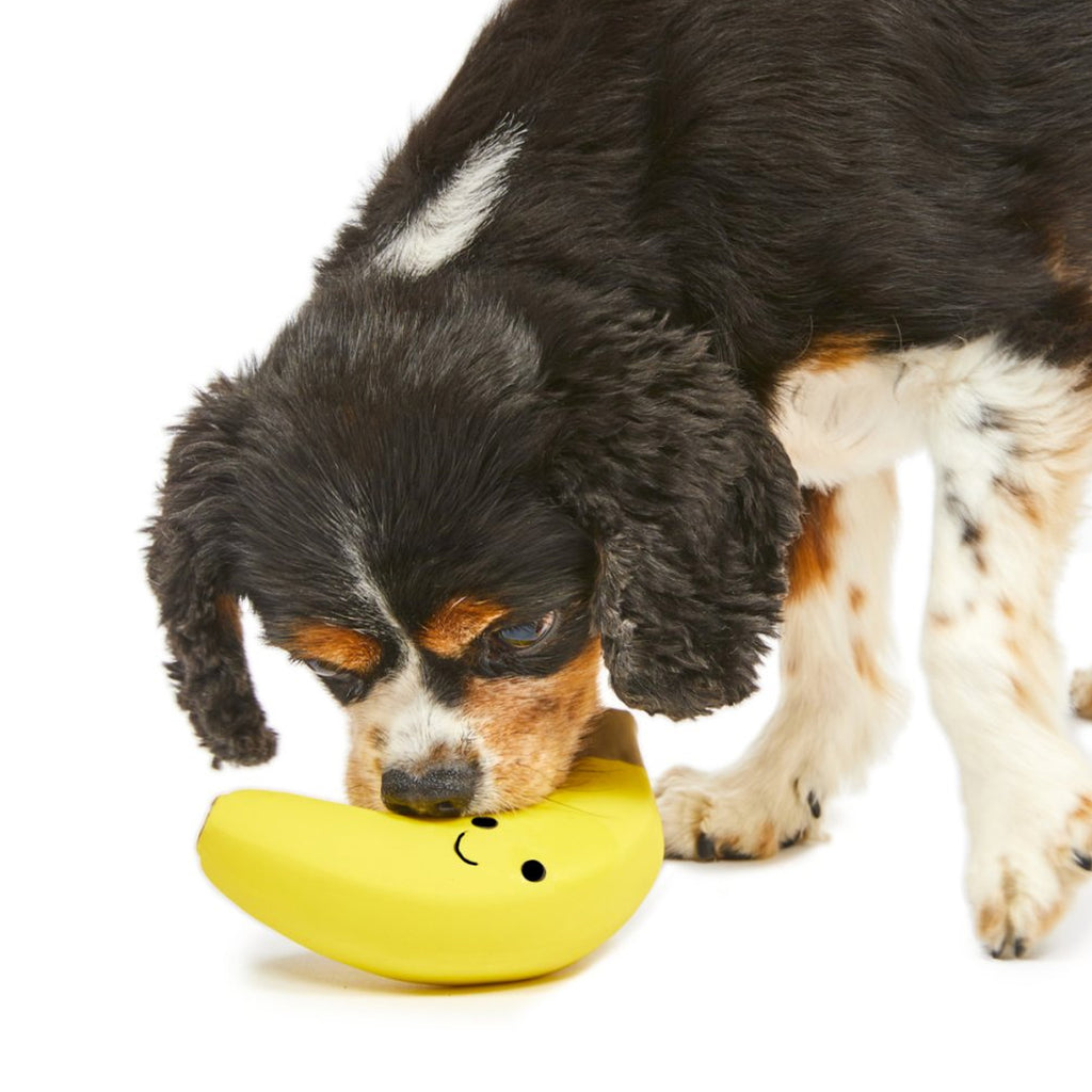Petface Foodie Faces Latex Banana Dog Toy