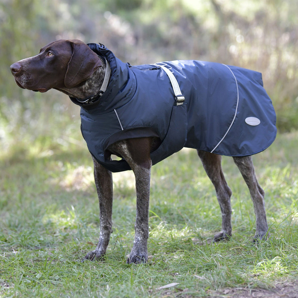 WeatherBeeta Explorer Medium Dog Coat Navy
