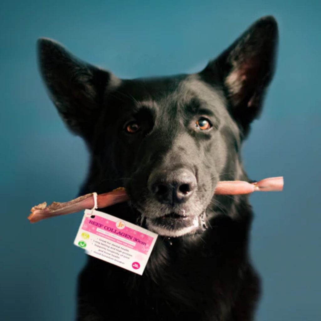 JR Pet Products Beef Collagen Stick - 30cm