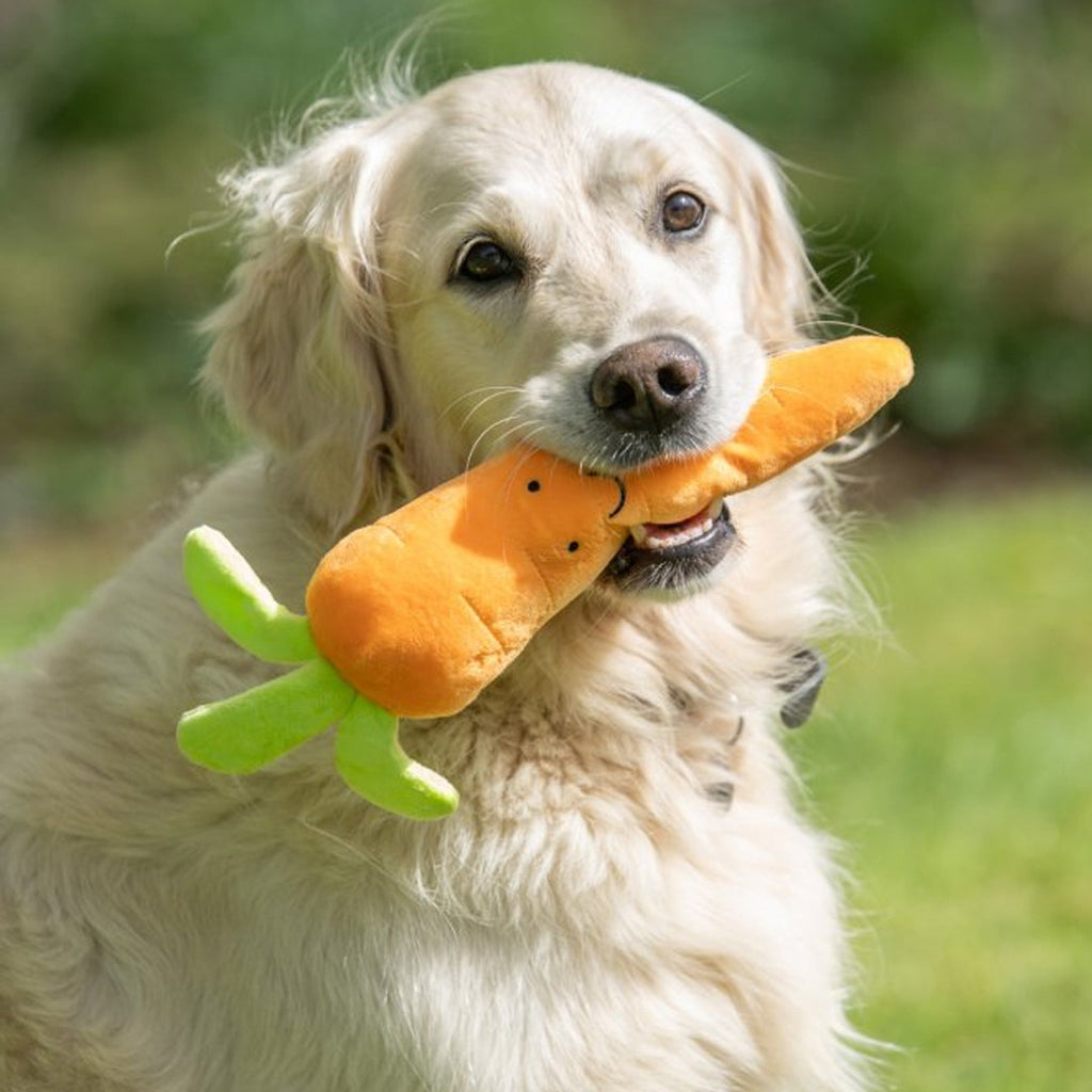 Petface Foodie Faces Fluffy Carrot Plush Dog Toy