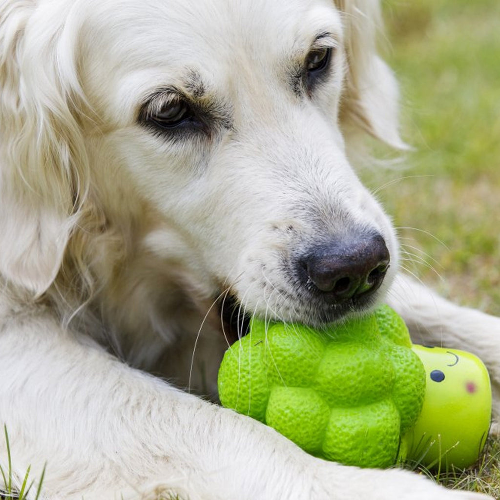 Petface Foodie Faces Latex Broccoli Dog Toy