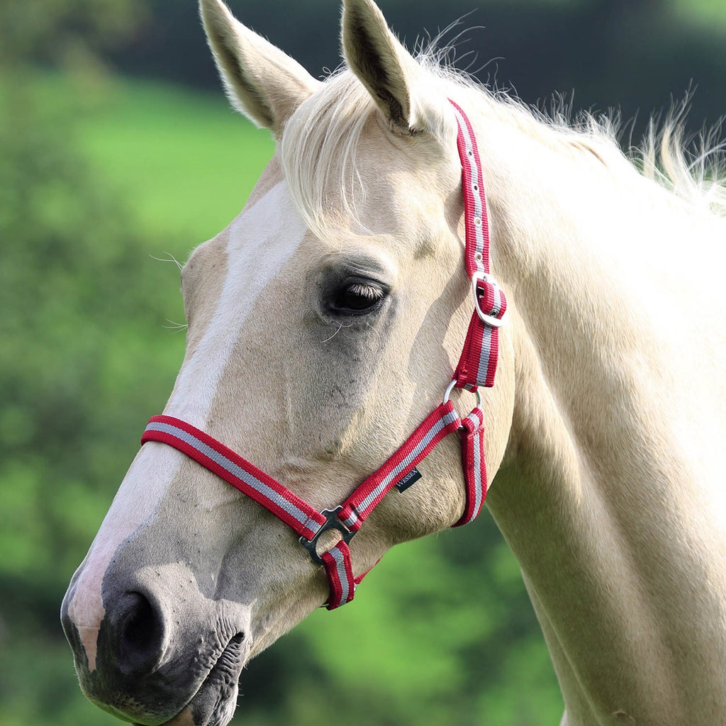 Shires Wessex Nylon Headcollar - Red