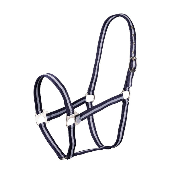 Shires Wessex Nylon Headcollar - Navy/Silver