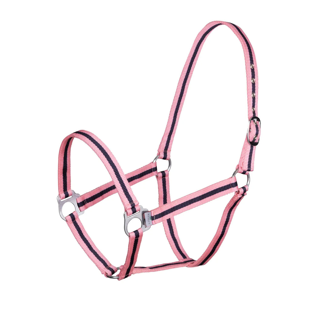 Shires Wessex Nylon Headcollar - Pink/Blue