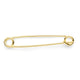 Shires Plain Gold Plated Stock Pin