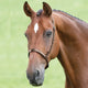 Shires Blenheim Cavesson Noseband - Brown