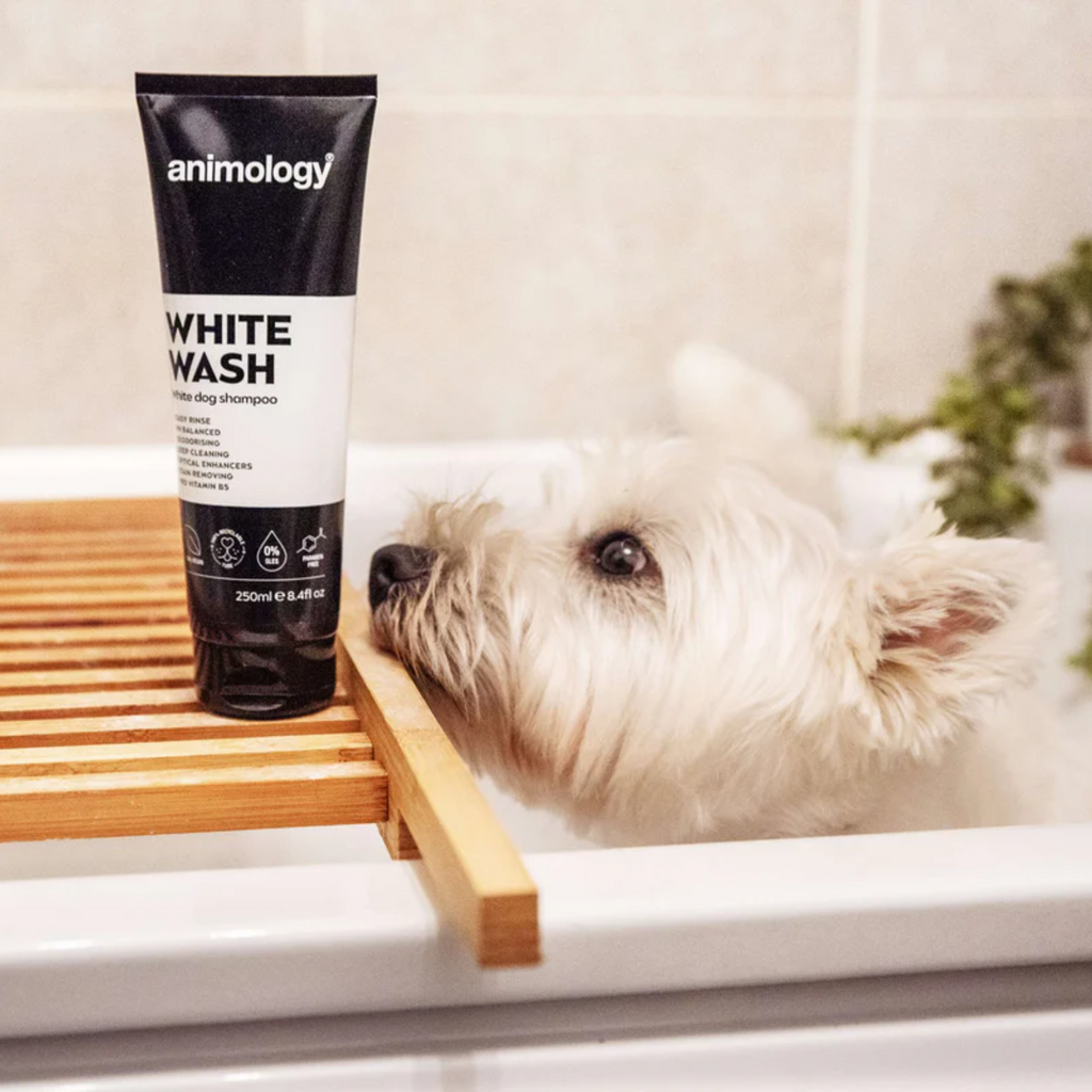Animology White Wash Shampoo - 250ml