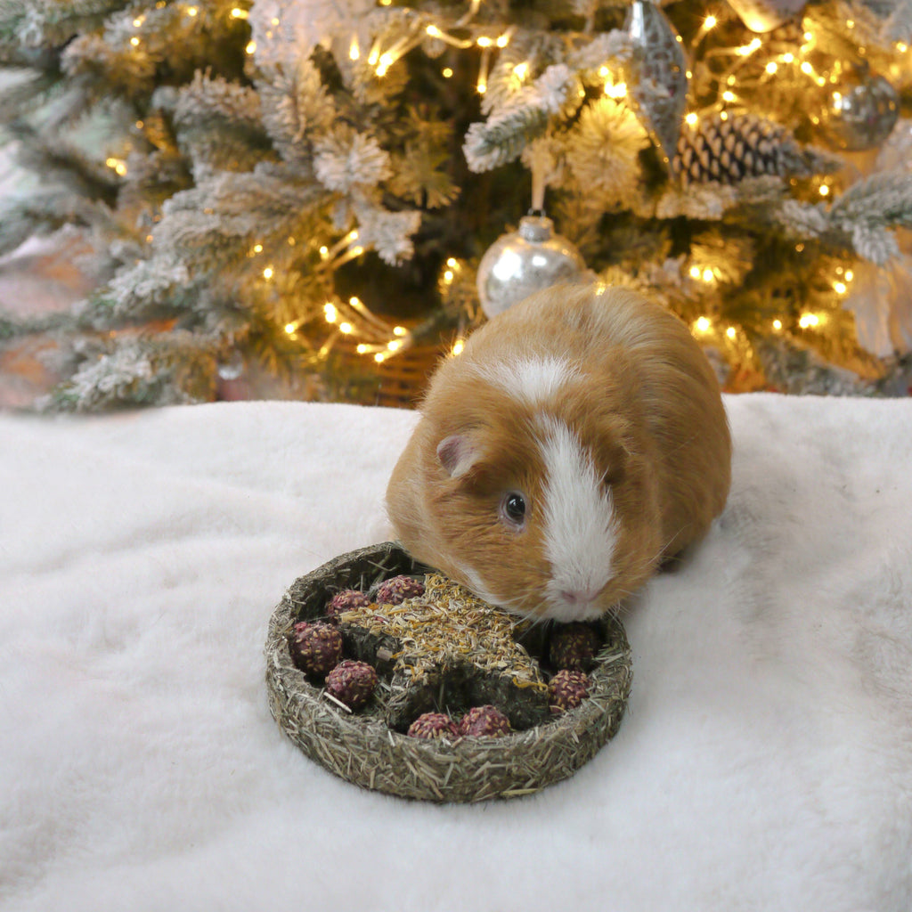 Rosewood Naturals Star 'n' Truffles Forage Tray