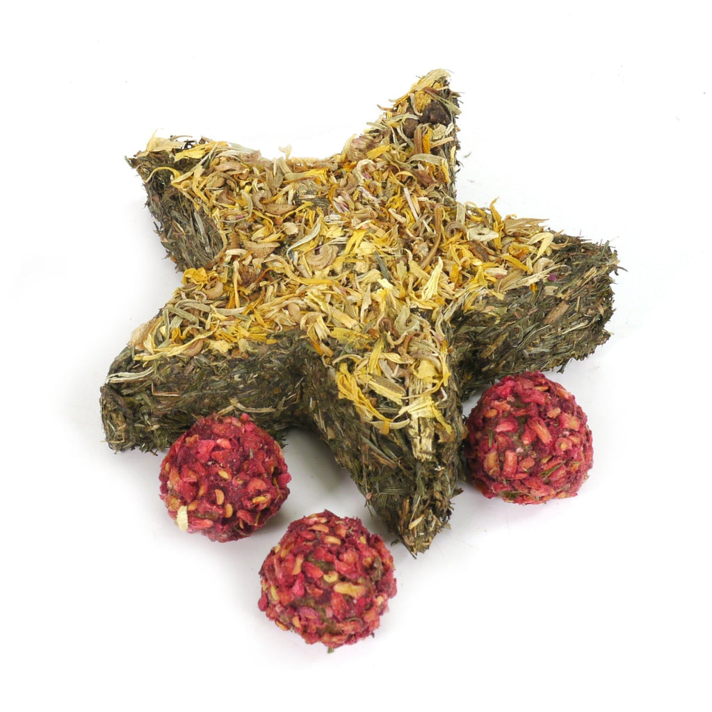 Rosewood Naturals Star 'n' Truffles Forage Tray