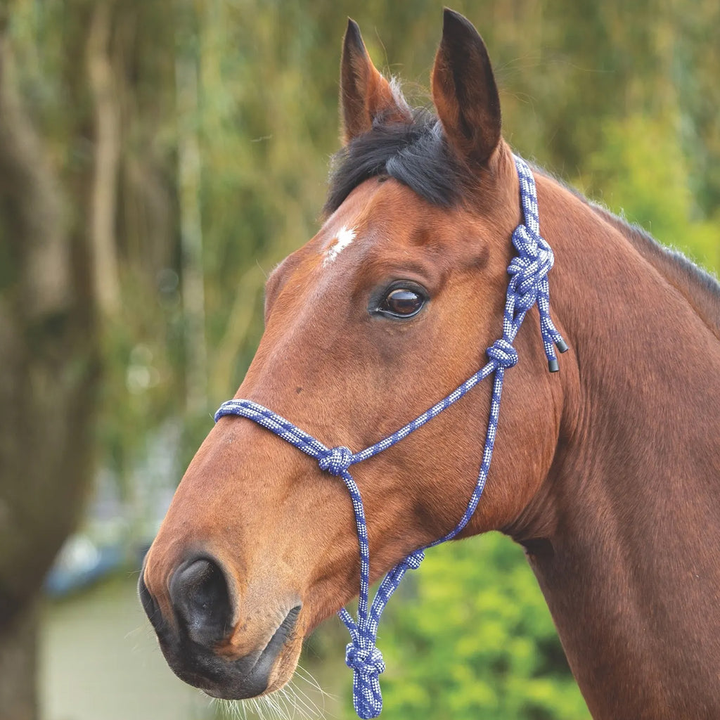 Shires Adjustable Rope Halter - Navy/White