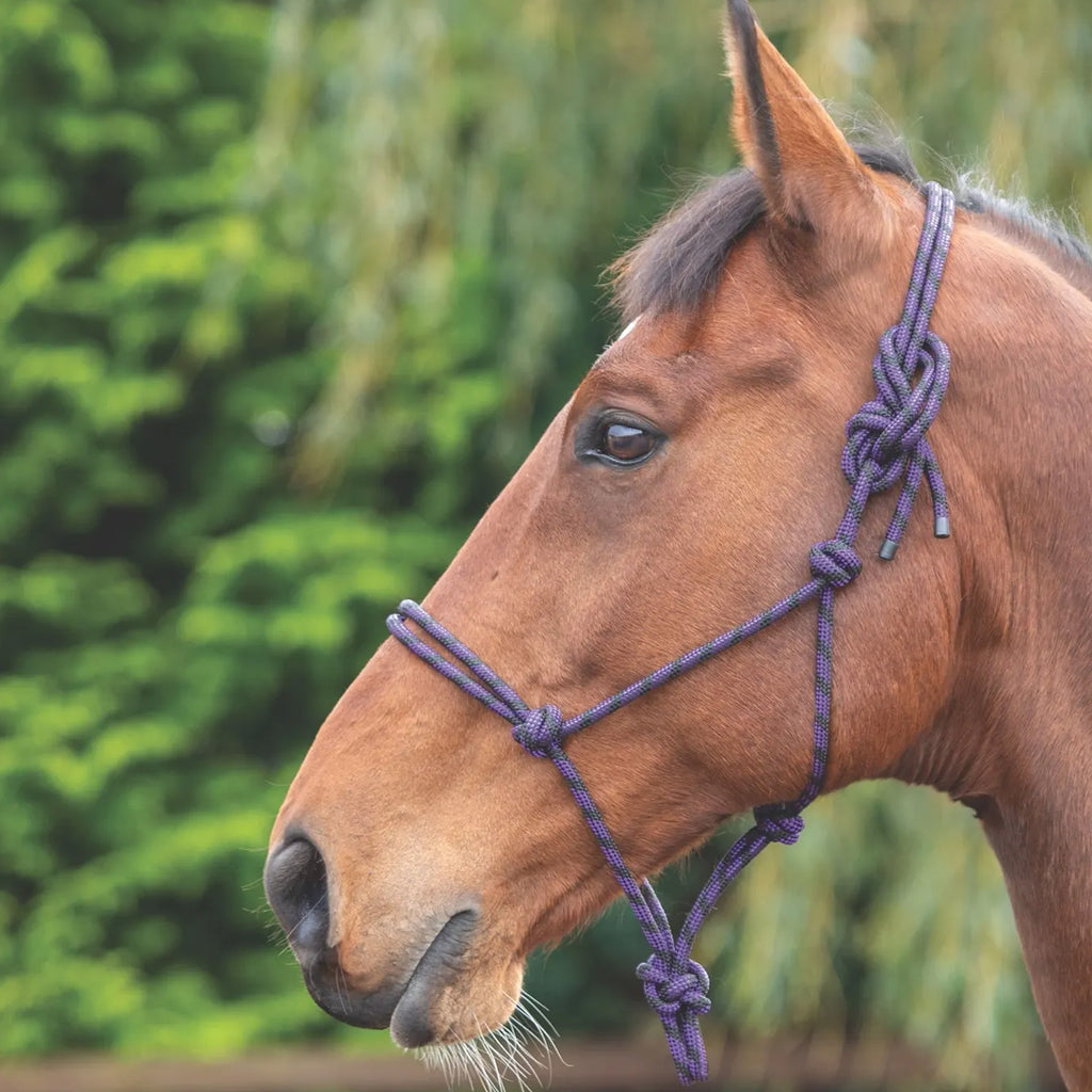 Shires Adjustable Rope Halter - Purple/Black