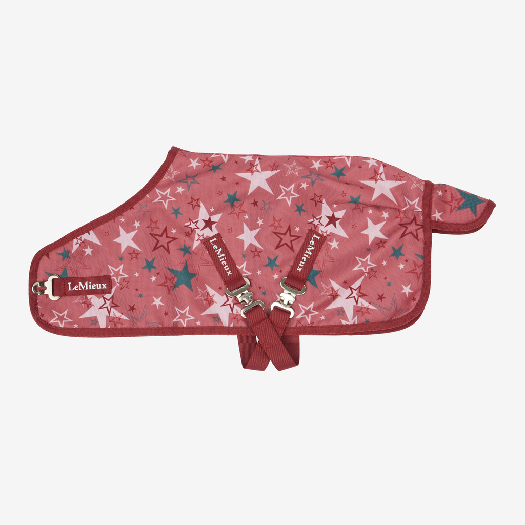 LeMieux Toy Pony Printed Turnout Rug - Spiced Earth
