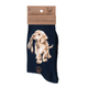 Wrendale Dog Sock - Hopeful
