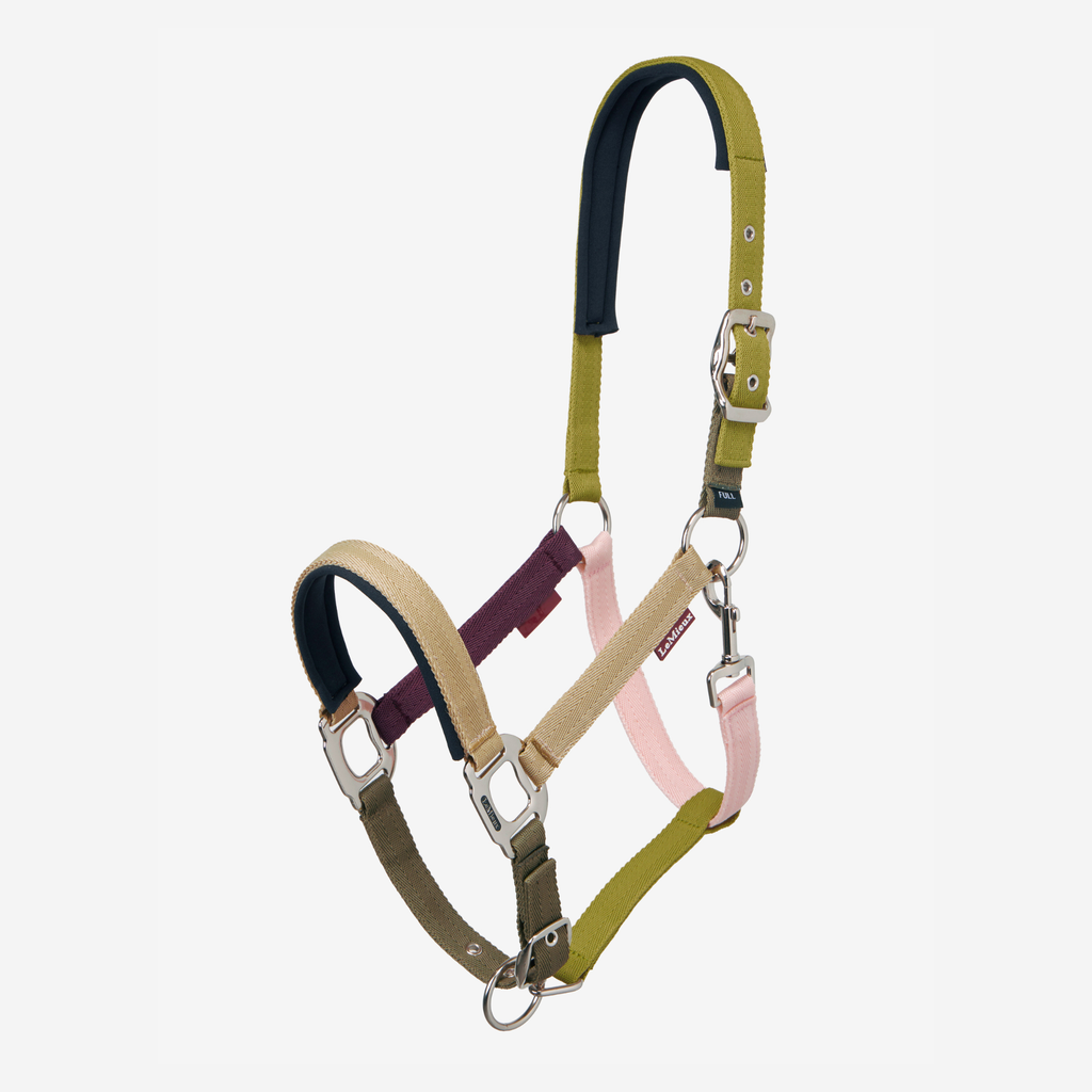 LeMieux Medley Headcollar - Gooseberry/Pear/Petal