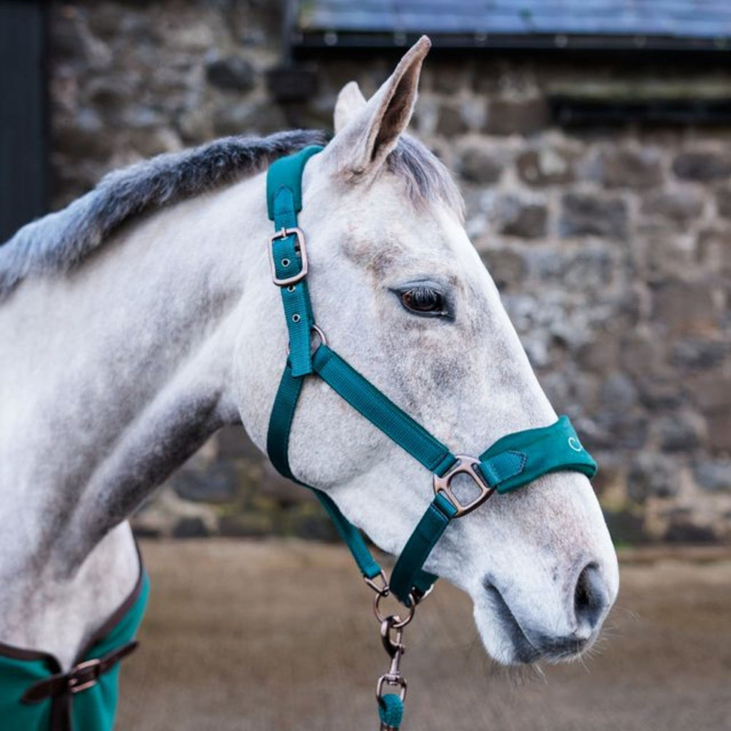 Cameo Suede Elite Headcollar & Leadrope - Evergreen