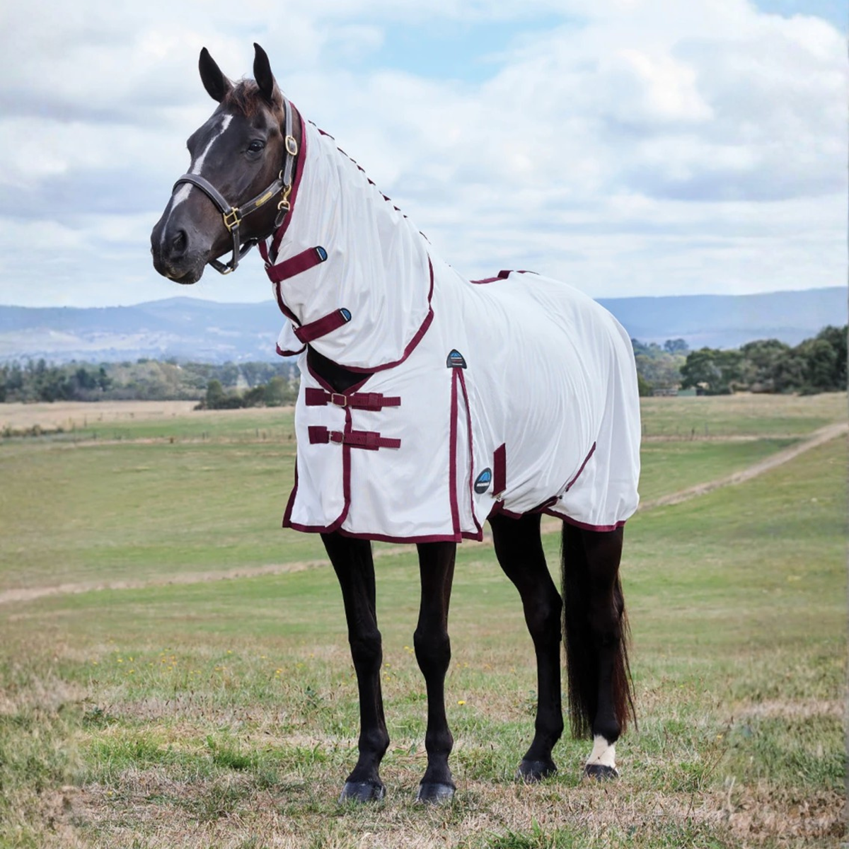 Fly Rug Weatherbeeta Weatherbeeta Comfitec Essential Fly Sheet Combo - White/Burgundy - R&R ...