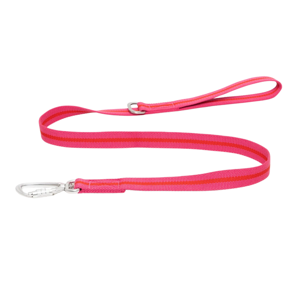 Ruff & Tumble All-Terrain Lead - Fuschia/Scarlett