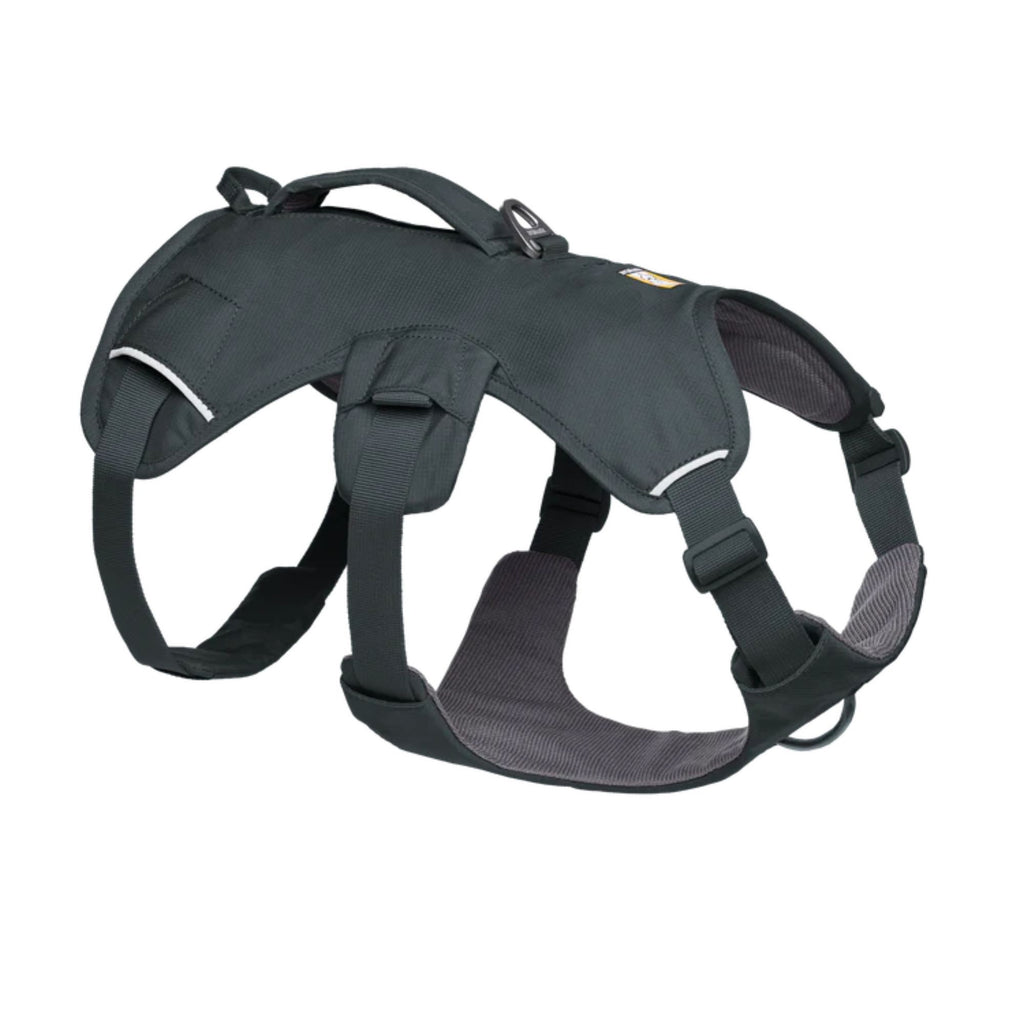 Ruffwear Web Master Harness - Basalt Grey