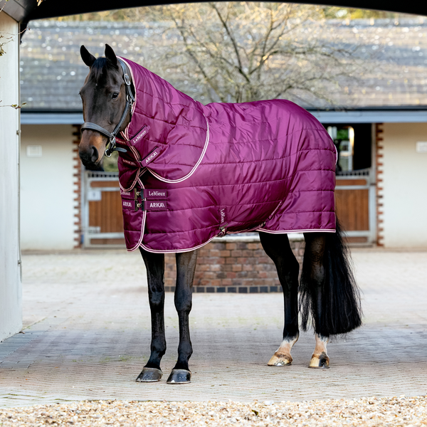 LeMeiux Arika Stable-Tek with Neck 200g - Blackberry