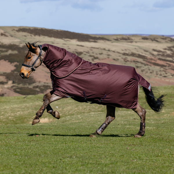 LeMieux Arika Ripstop 100g Turnout Rug - Bramble