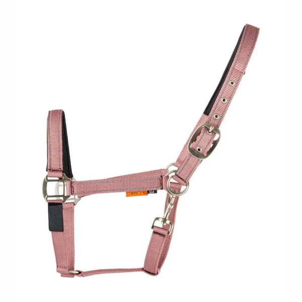 Cameo Fieldsafe Headcollar- Dusky Pink