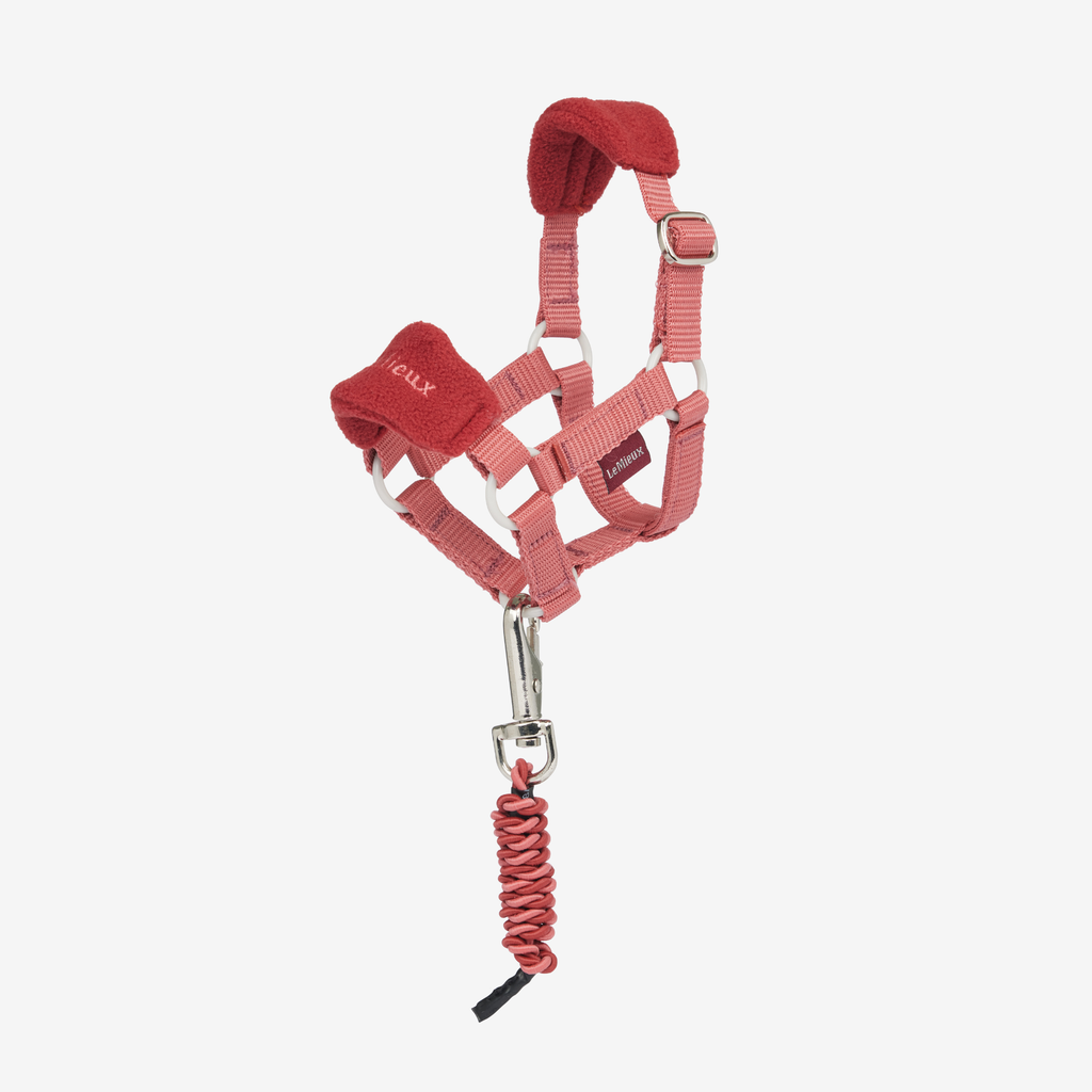 LeMieux Toy Pony Vogue Headcollar & Leadrope - Spiced Earth