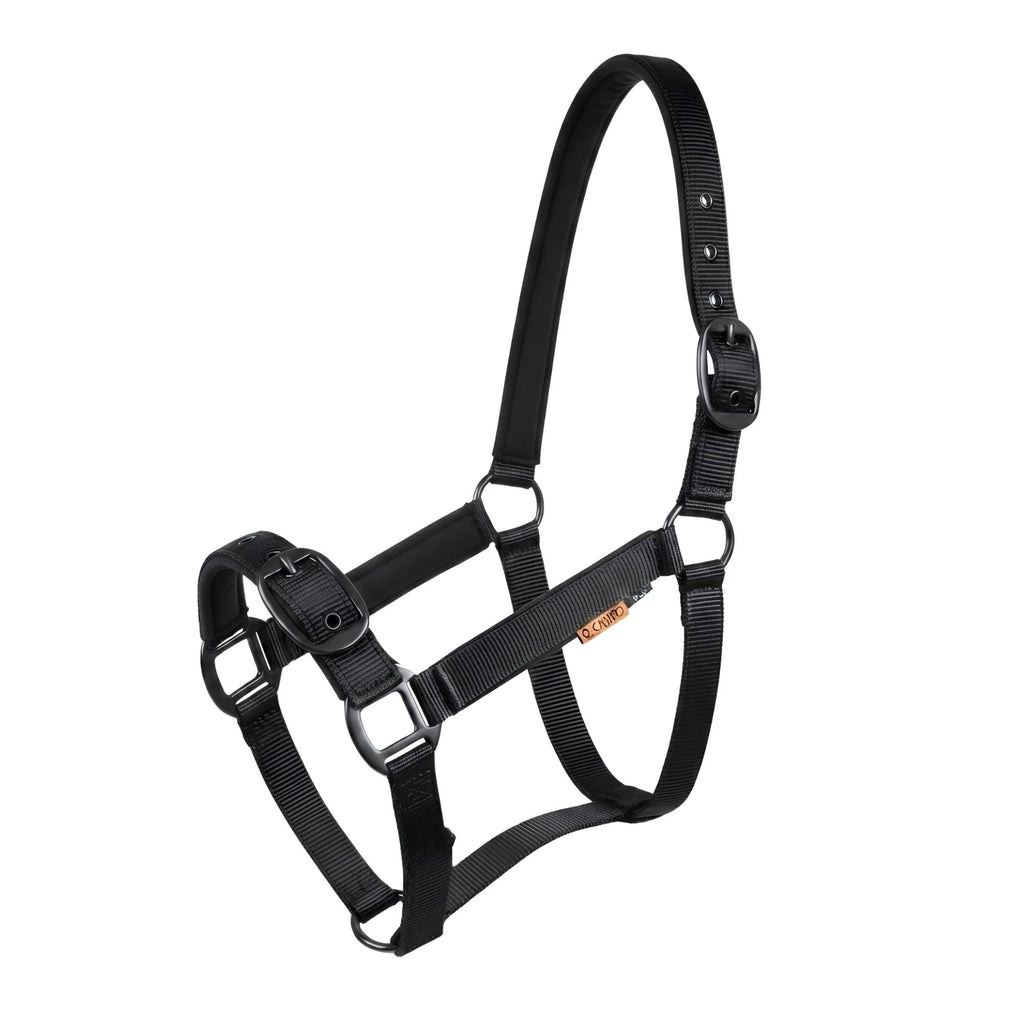 Cameo Suede Padded Headcollar - Black