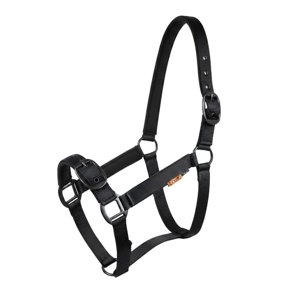 Cameo Suede Padded Headcollar - Black