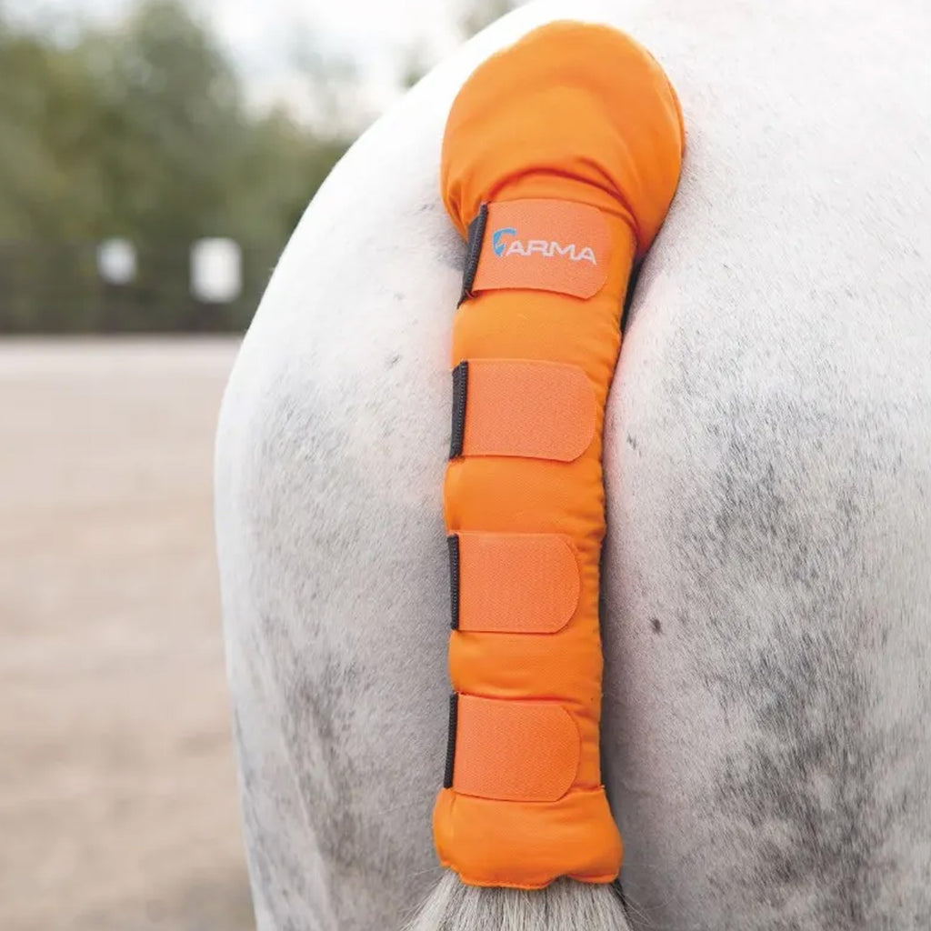 Shires Padded Tail Guard - Orange