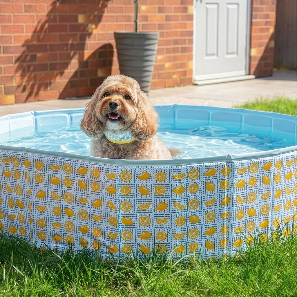 Rosewood Paddling Pool - Lemon Print