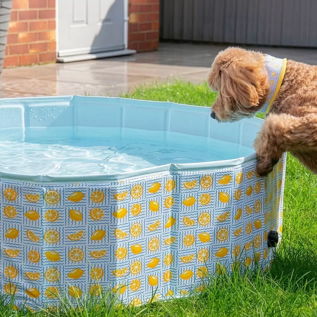 Rosewood Paddling Pool - Lemon Print