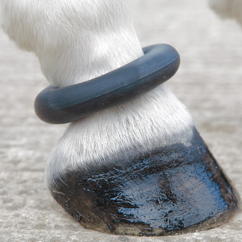 SHIRES FETLOCK RING BLACK O/S