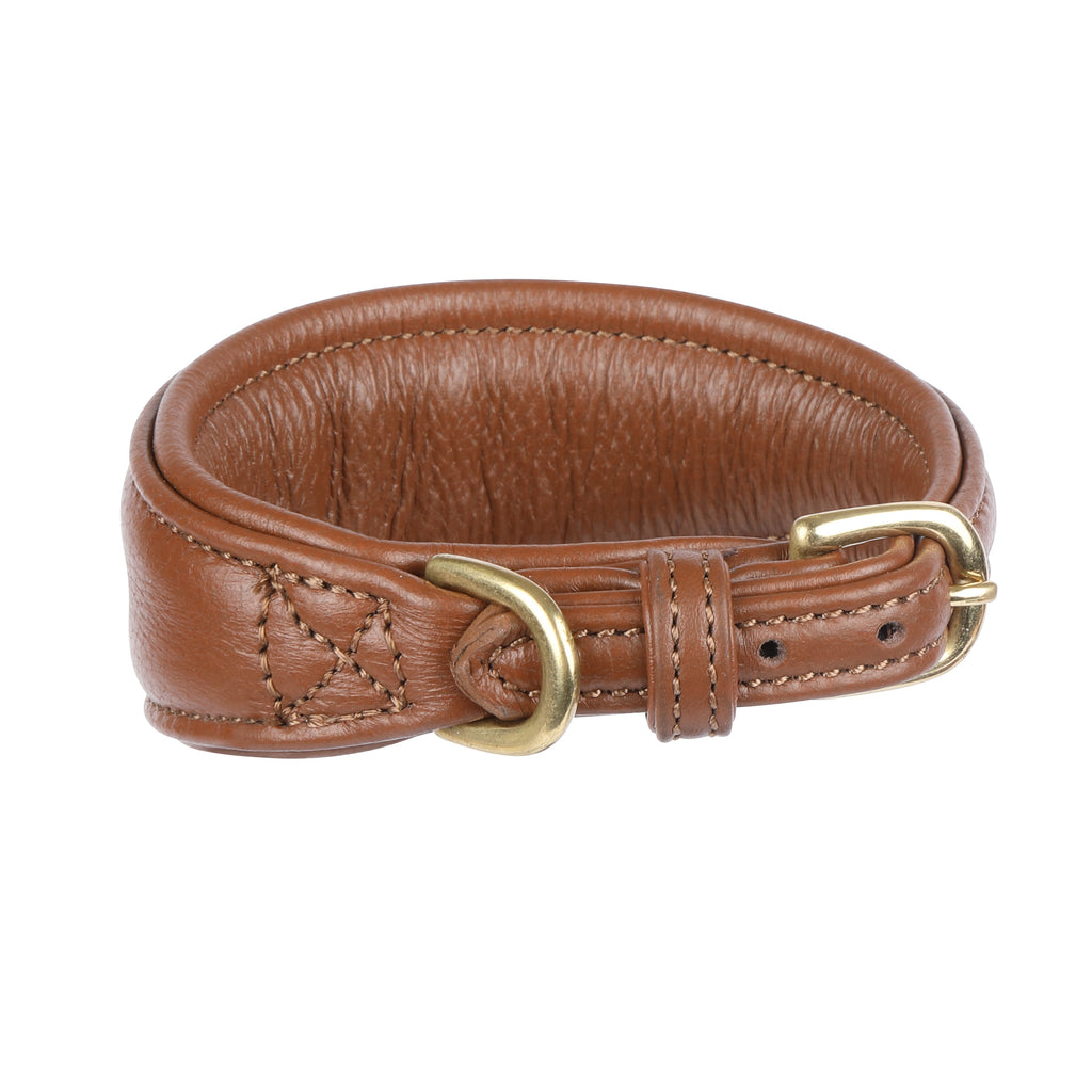 Digby and Fox Padded Greyhound Collar - Tan