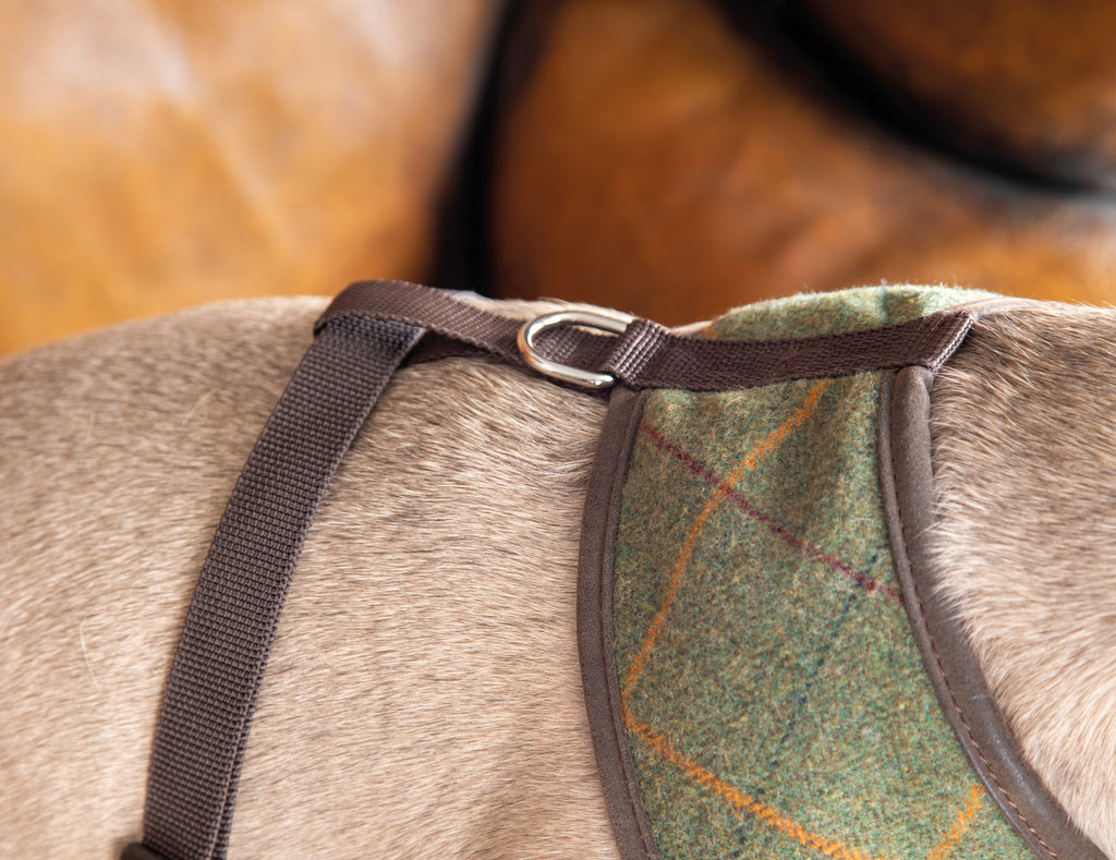 Digby and Fox Tweed Dog Harness - Green