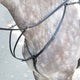 Bridleway Melton Breastplate - Black