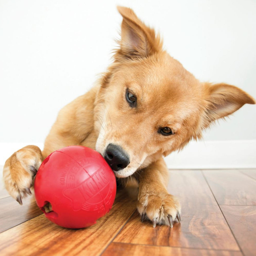 KONG Biscuit Ball