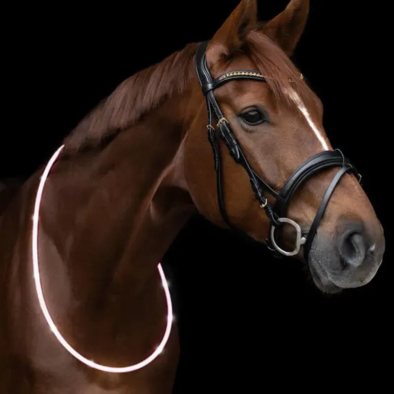Waldhasen LED Neck Strap - White