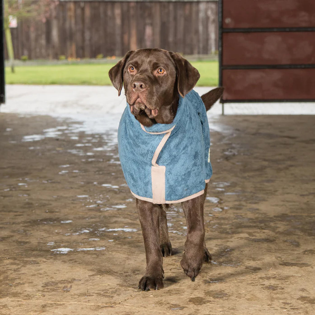Ruff and Tumble Classic Dog Drying Coat - Blue