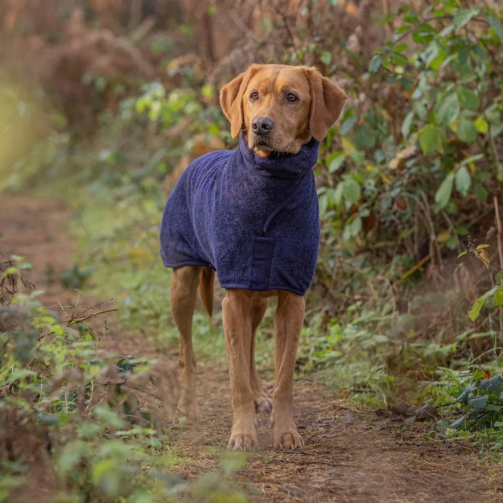 Ruff and Tumble Classic Dog Drying Coat - Blackberry