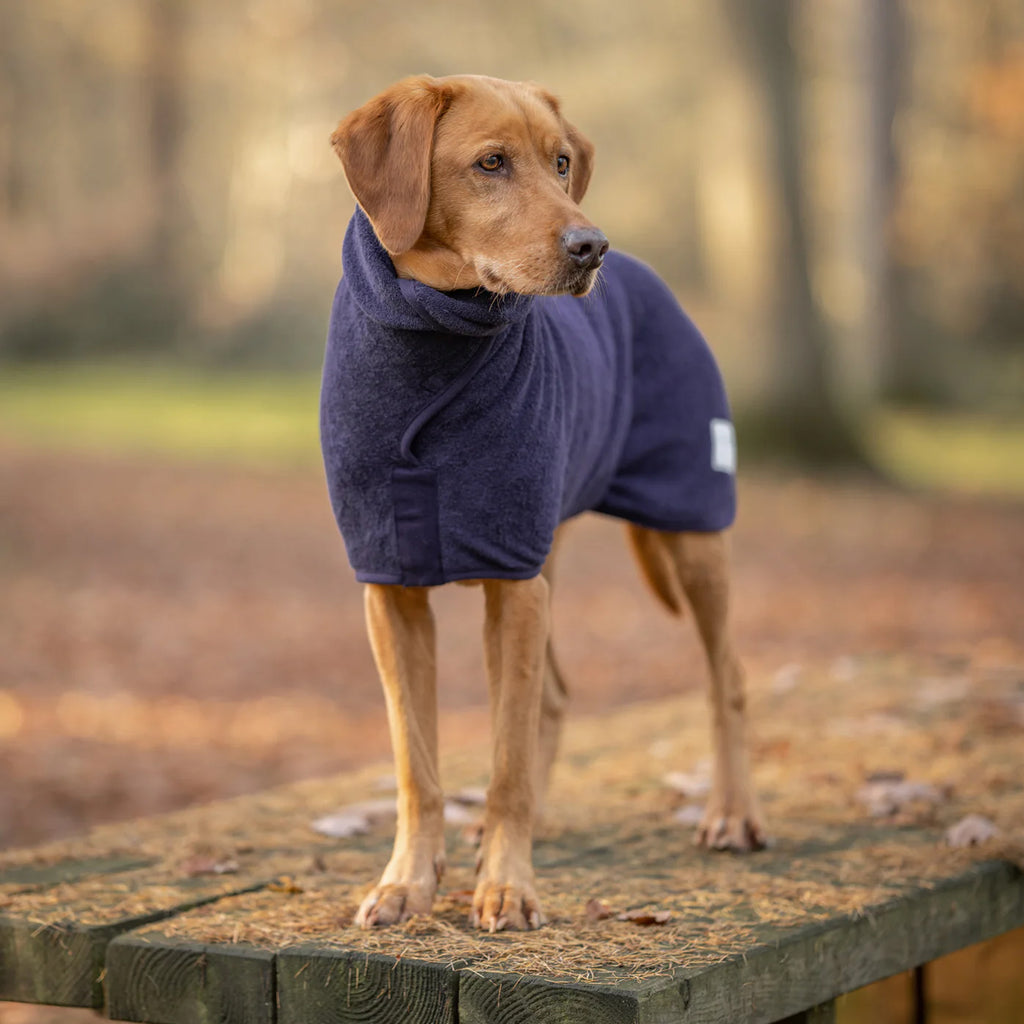 Ruff and Tumble Classic Dog Drying Coat - Blackberry