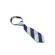 Equetech Pony Club Stripe Ready Tied Zipper Tie