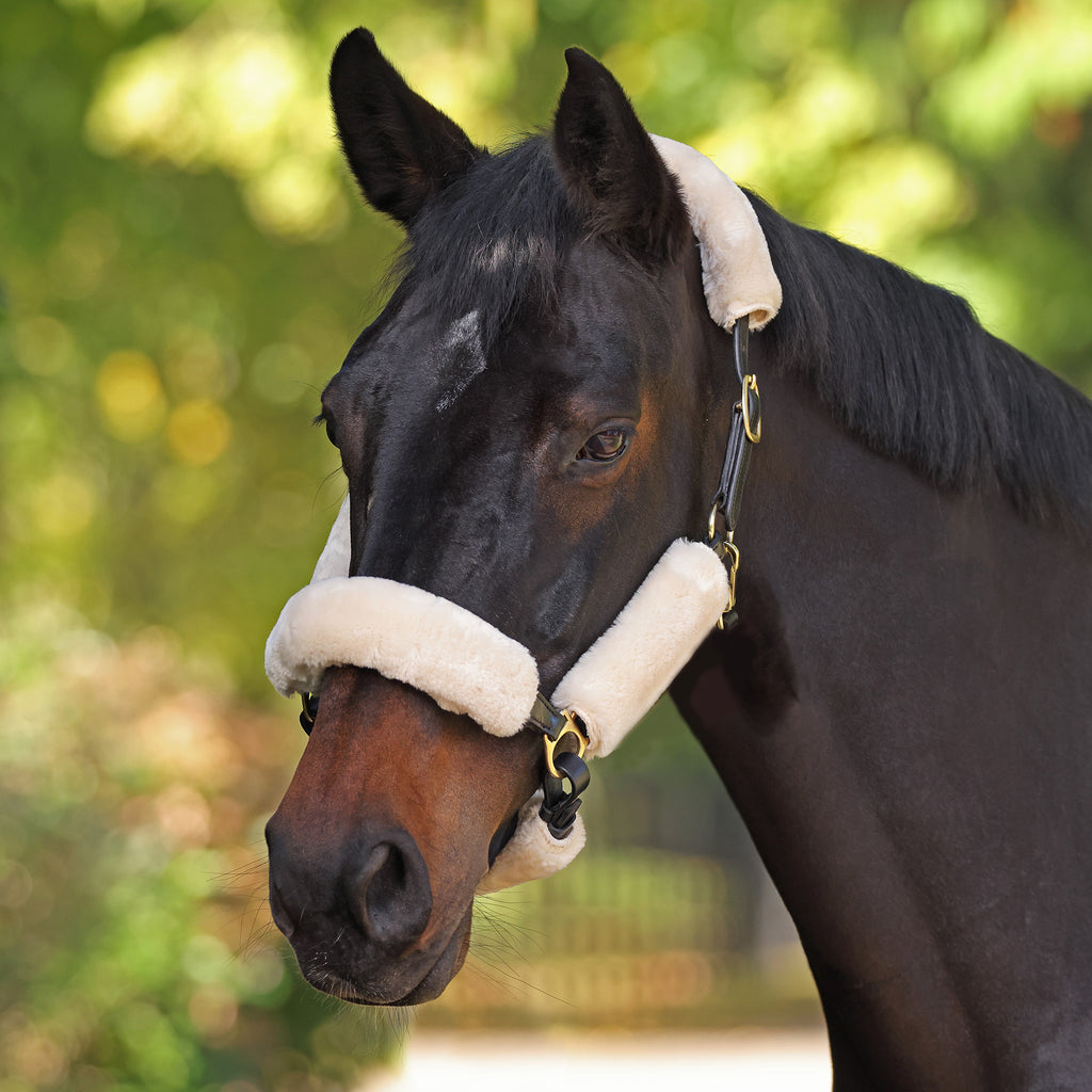 ARMA SupaFleece Halter Fleece Set - Natural