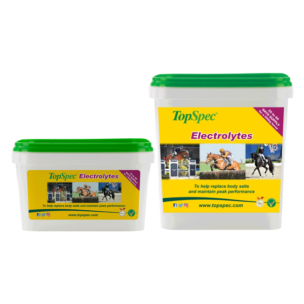 Topspec Electrolytes