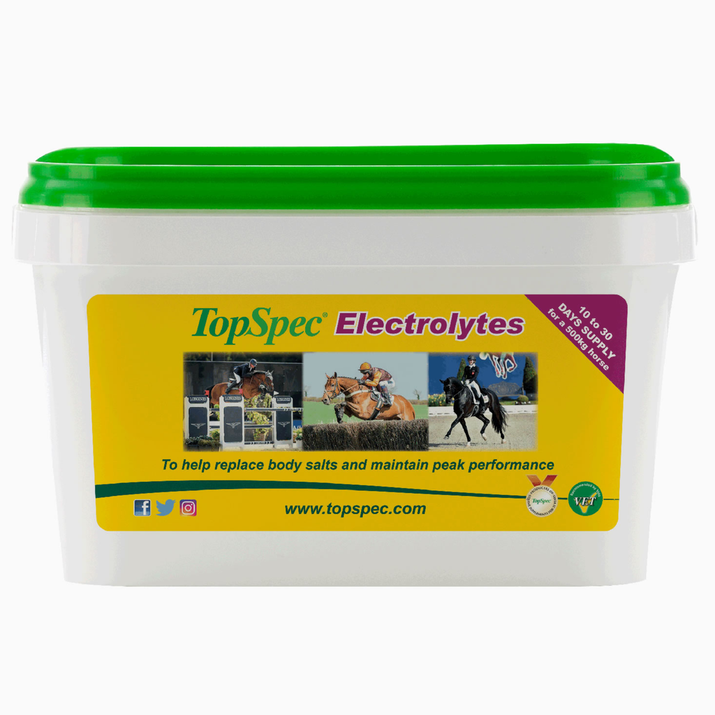 Topspec Electrolytes