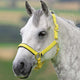 Shires Topaz Headcollar - Yellow