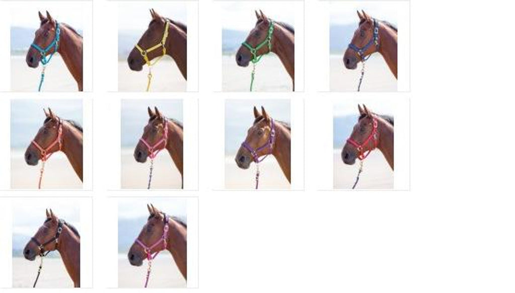 Shires Topaz Headcollar - Yellow